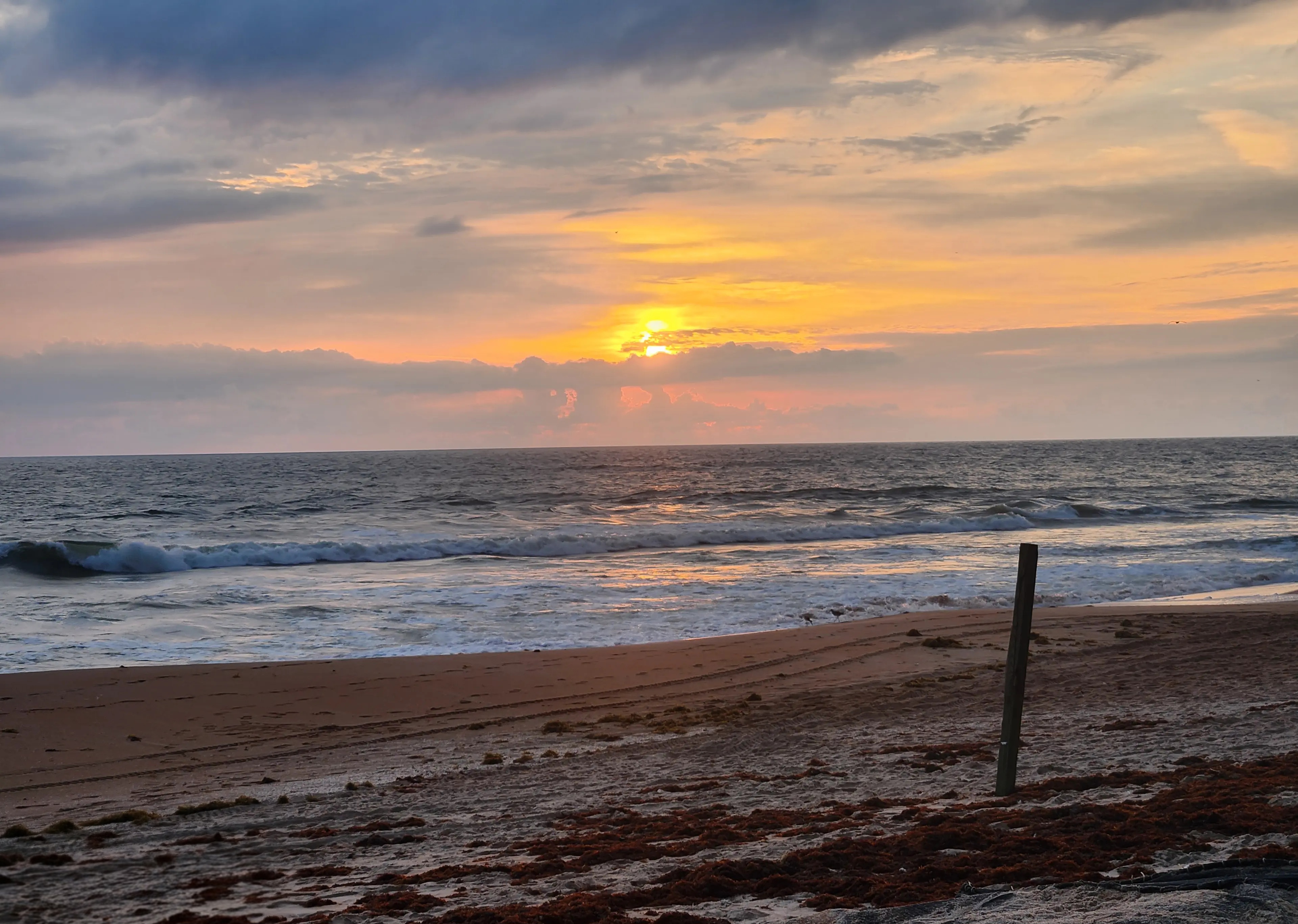 Professional photography sample by Precious Sapphires Photography